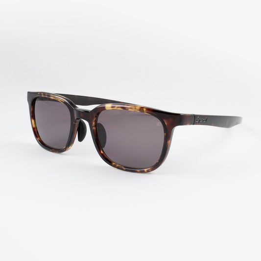 アイヴォル NOYLE 54 DM-DG